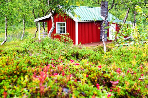 Cabana Madeira Norueguesa Escondida Uma Floresta Estes Tipos Cabanas São — Fotografia de Stock