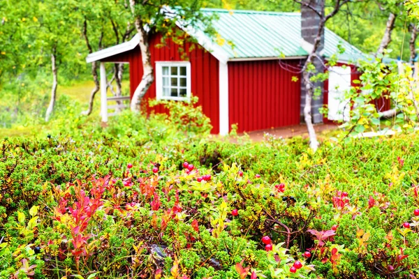 Cabana Madeira Norueguesa Escondida Uma Floresta Estes Tipos Cabanas São — Fotografia de Stock