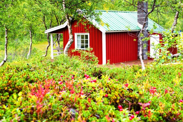 Cabaña Madera Noruega Escondida Bosque Este Tipo Chozas Utilizan Principalmente — Foto de Stock
