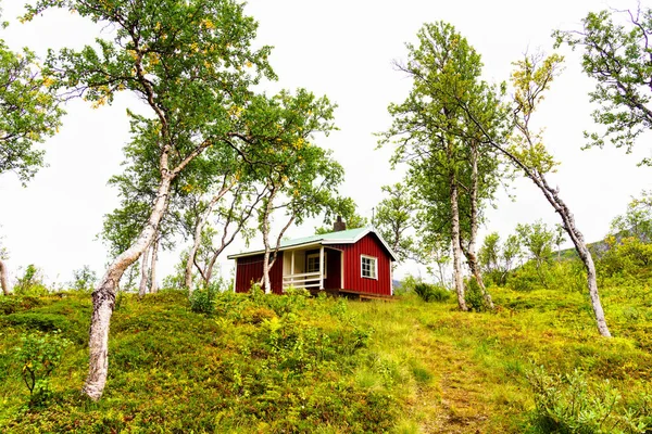 Cabane Norvégienne Bois Cachée Dans Une Forêt Ces Types Cabanes — Photo