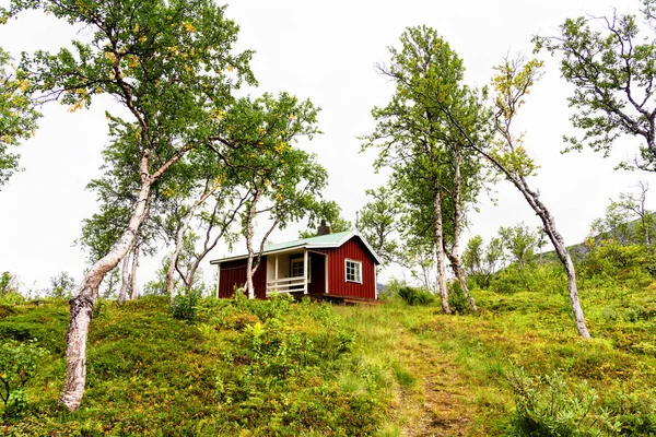 Cabana Madeira Norueguesa Escondida Uma Floresta Estes Tipos Cabanas São — Fotografia de Stock