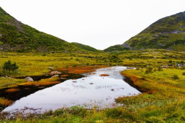 Norveç dağlarında sonbahar renkleri, Troms Finnmark, Norveç
