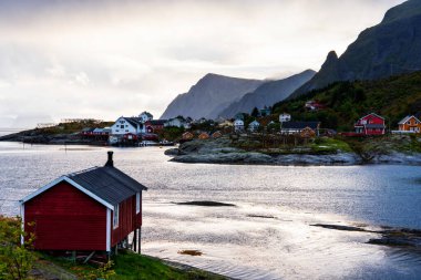 Tipik kırmızı bir evi olan Norveç kıyı manzarası. Tahta kırmızı evlere 
