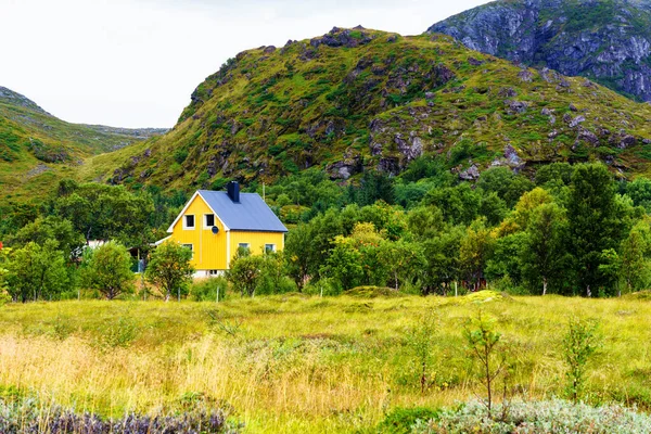 Παραδοσιακό Σπίτι Σκανδιναβικό Ξύλινο Sumer Στο Αρχιπέλαγος Lofoten Νορβηγία — Φωτογραφία Αρχείου