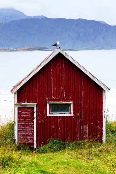 Red Rorbu Ramberg Beach Dans Les Îles Lofoten Norvège — Photo