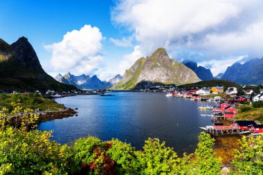 Reine, Lofoten, Norveç. Güneşli, mavi gökyüzünün altındaki Reine köyünde tipik rorbu evleri var..