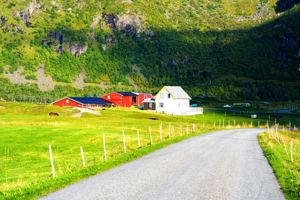 Small farm on Lofoten islands at the dawn of summer. Lofotes are popular tourist destination and still gaining popularity among tourist from around the world.