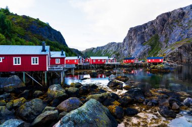 Nusfjord limanında renkli kırmızı balıkçı evleri ve Norveç 'in Lofoten Adaları' nda huzurlu bir akşamda yelkenli tekneleri var.