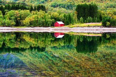 Norveç, Lofoten 'de kayalık bir sahilde küçük kırmızı ahşap bir kulübe. Önde otlar ve evin önündeki küçük bir su birikintisi yansımaları..
