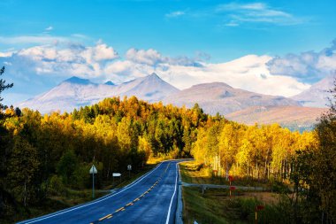 Norveç 'in Lofoten Adası' ndaki güzel dağ manzaralı sonbahar boyunca manzaralı asfalt yol. Yolculuk, seyahat, tatil, macera kavramı.