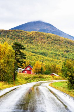 Tamok Vadisi 'ndeki Norveç ahşap kulübesi. Bu tür kulübeler çoğunlukla turistler ya da balıkçılar için kullanılır. Günümüzde şehir dışına, kırsal bölgelere gitmek için popüler hafta sonları geçiyorlar..