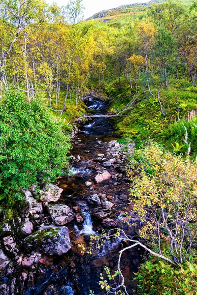 Agua Borrosa Que Fluye Través Del Bosque Caducifolio Norte Noruega — Foto de Stock