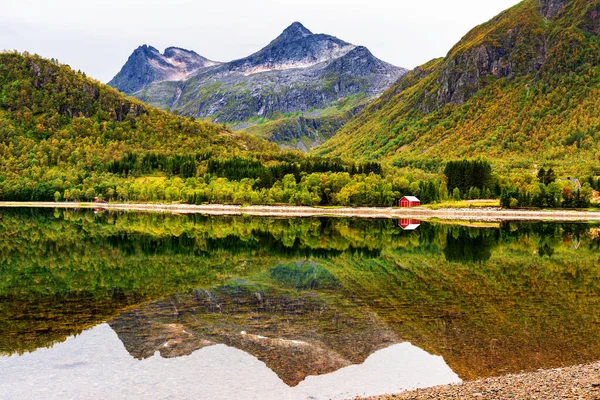 ノルウェー ロフトテンの岩のビーチにある小さな赤い木製の小屋 家の前の小さな池の中の草や反射 — ストック写真