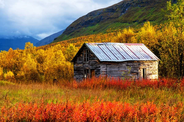 Seizoensgebonden Zomerhut Open Plek Tamok Valley Noorwegen Bewolkte Herfstdag — Stockfoto