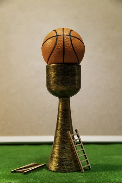 Basketball Trophy Two Wooden Ladders Green Grass — Stock Photo, Image