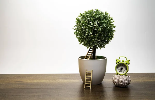 Green Bush Tree White Flowerpot Ladder Green Alarm Clock — Stock Photo, Image