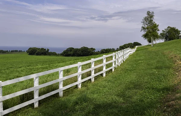 White Fence Green Grass Field Stock Picture