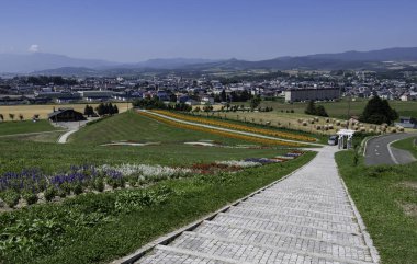 Yeşil çim ve güzel manzara ile yere aşağı uzun merdiveni