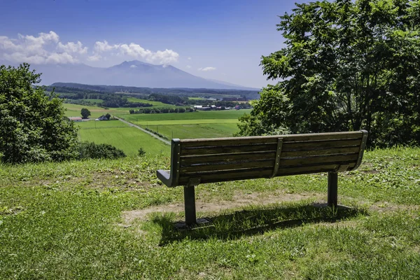 Empty Long Bench Sunny Day Beautiful View Stock Photo