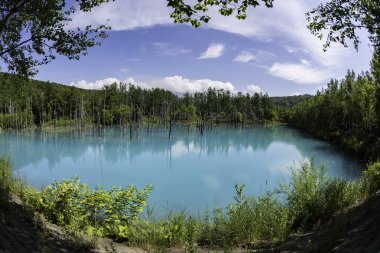 Orman hala mavi su birikintisi