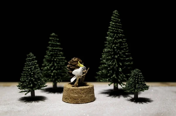 黒い背景から分離された緑のクリスマス ツリーの枝に白いオウム スタンドします — ストック写真