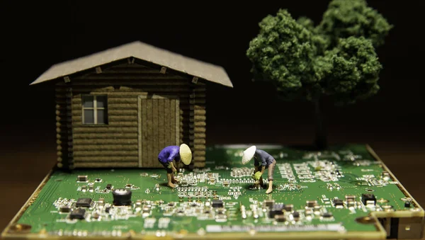 两名农民用一个圆木房子和一棵树在电路板上移植水稻幼苗 — 图库照片