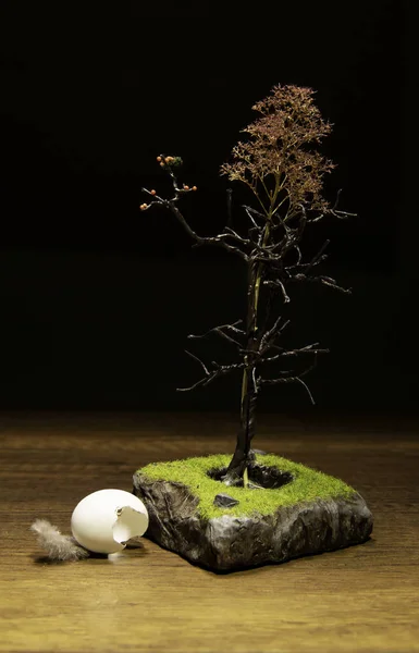 Beyaz Yumurta Kırık Kahverengi Kuru Ağaçtan Düşmüş — Stok fotoğraf