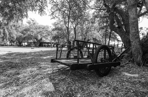 Imagen Blanco Negro Del Carro Dos Ruedas Campo — Foto de Stock