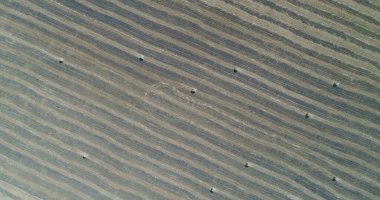 Hava fotoğrafı. Nizhny Novgorod Bölgesi, Rusya 