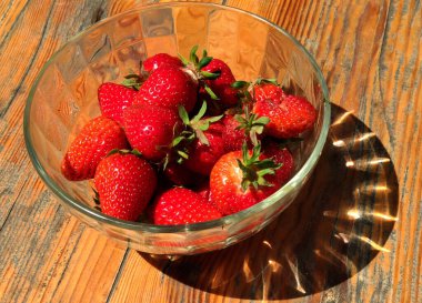 Cam kasedeki ilk çilek hasadı.