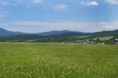 Kırım yarımadasının dağlık kesiminde yaz manzarası