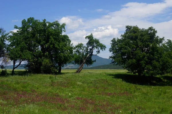 クリミア半島の山岳地帯の夏の風景 — ストック写真