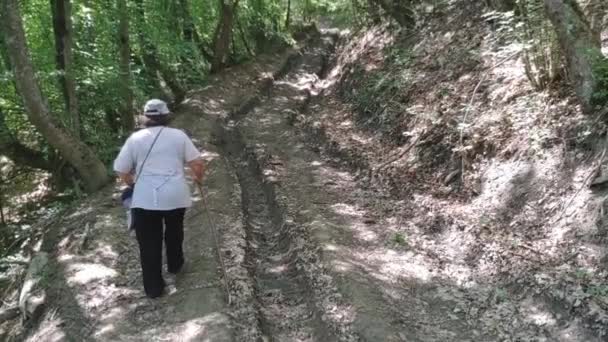 Route forestière dans les montagnes sur la péninsule de Crimée