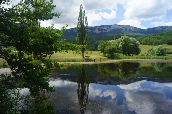 Летний Пейзаж Горной Части Крымского Полуострова — стоковое фото