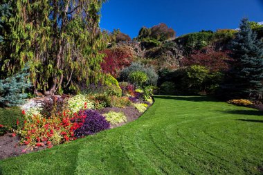 Stanley Parkı Vancouver. Yaz Şehir Parkı içinde çiçek açması renkli çiçek. Güzel doğal peyzaj kavramı. Çiçekler ve ağaçlar, taşlı tepe ve mavi gökyüzü arka plan