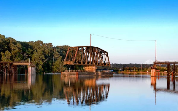 フレーザー川のデルタの腕一つに鉄道旋回橋 樹木が茂った川銀行 開いた状態で橋の中に静かな情景は 青空を背景に川の穏やかな水に反映されます — ストック写真