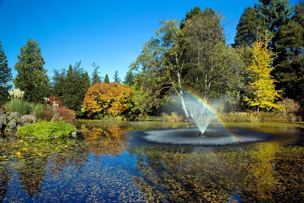 池塘与喷泉 Invan 范杜森公园 阳光明媚的秋天天彩虹在喷泉五颜六色的看法 绿色和黄色树在背景蓝天 — 图库照片