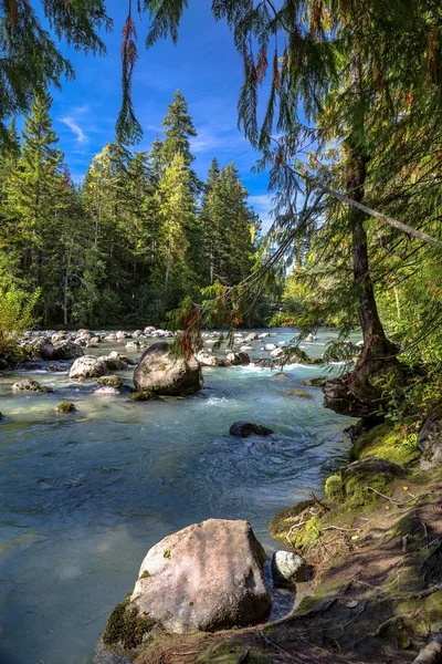 Brazo Del Río Cheakamus Arroyo Que Corre Través Del Fondo — Foto de Stock