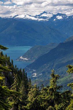 Görünüm Boğazı of Georgia ve dağ selvi. Boğazı of Georgia ve Bowen karla kaplı dağlar ve mavi bulutlu gökyüzü, kozalaklı ağaçlar ön planda arka plan üzerinde