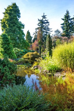 Kraliçe Elizabeth Parkı Vancouver. Şehir Parkı içinde çiçek açması renkli çiçek yatak. Güzel doğal peyzaj kavramı. Çiçekler ve ağaçlar, taşlı tepe ve mavi gökyüzü arka plan