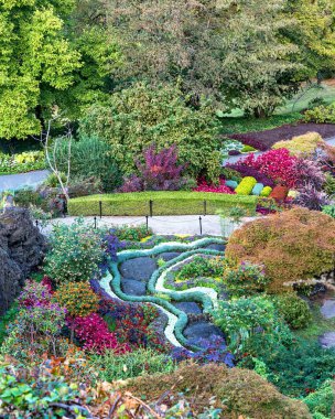 Kraliçe Elizabeth Parkı Vancouver. Şehir Parkı içinde çiçek açması renkli çiçek yatak. Güzel doğal peyzaj kavramı. Çiçekler ve ağaçlar, taşlı tepe ve mavi gökyüzü arka plan