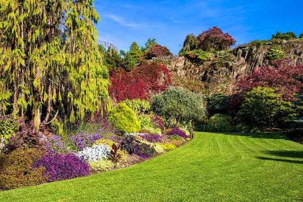 Queen Elizabeth Park Vancouver. Blossoming colorful flower beds in  city park. Beautiful natural landscape gardening concept. Flowers and trees at the background of stony hill and blue sky