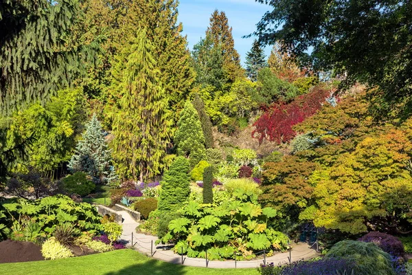 Queen Elizabeth Park Vancouver. Blossoming colorful flower beds in  city park. Beautiful natural landscape gardening concept. Flowers and trees at the background of stony hill and blue sky