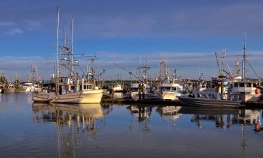 Marina Balıkçı Tekneleri ve su yüzeyinde bulutlu bir gökyüzünün bir yansıması. Bu marina, Richmond'un Stivestone bölgesinde yer almaktadır. Burada kurulan balıkçı köyü Richmond topraklarında ilk yerleşim oldu