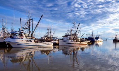 Marina Balıkçı Tekneleri ve su yüzeyinde bulutlu bir gökyüzünün bir yansıması. Bu marina, Richmond'un Stivestone bölgesinde yer almaktadır. Burada kurulan balıkçı köyü Richmond topraklarında ilk yerleşim oldu