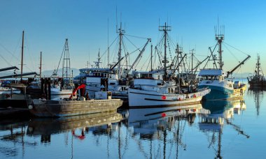 Marina Balıkçı Tekneleri ve su yüzeyinde bulutlu bir gökyüzünün bir yansıması. Bu marina, Richmond'un Stivestone bölgesinde yer almaktadır. Burada kurulan balıkçı köyü Richmond topraklarında ilk yerleşim oldu