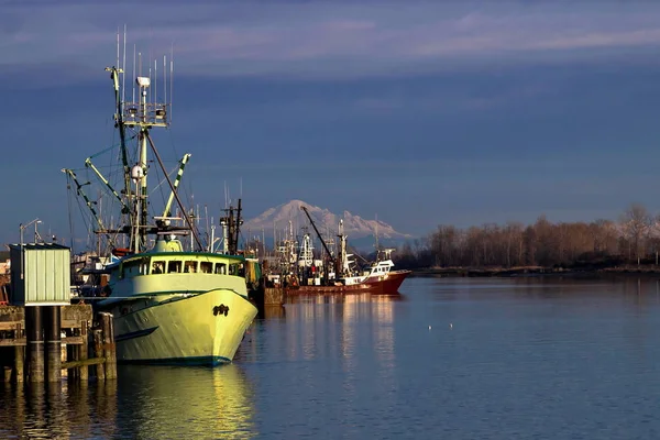 Barche Pesca Nel Marina Mountain Baker Vista Sullo Sfondo Del — Foto Stock