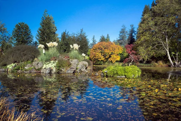 Stagno Nel Parco Van Dusen Soleggiata Giornata Autunnale Arcobaleno Fontana — Foto Stock