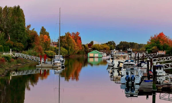 秋天的时候 河岸附近的码头上长满了泛黄的树木 停泊着船只和游艇 与蓝天飞驰而过 — 图库照片