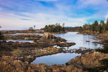 Vancouver Adası 'nın batı kıyısı engebeli kıyı şeridi Ucluelet' te vahşi pasifik patikası, kayalık adalar mavi gökyüzünün arka planında kozalaklı ormanlarla kısmen kaplanmış, Britanya Kolombiya Kanada 
